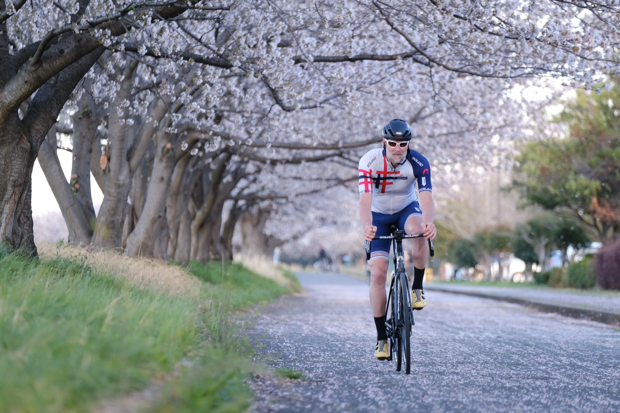 Vélo SQUAD et cycliste au milieu des cerisiers
