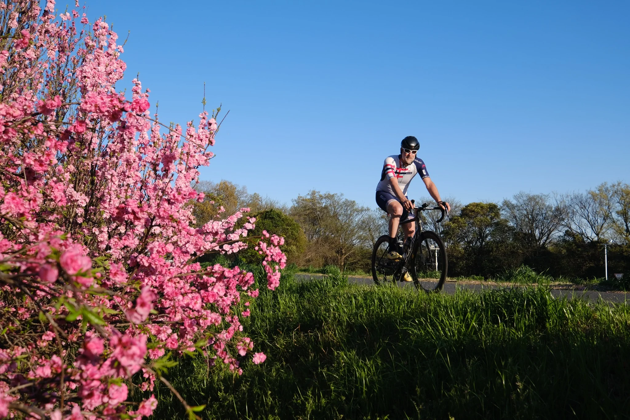 Cycliste SQUAD roulant sous les fleurs roses